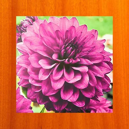 De Patios 3* Córdoba