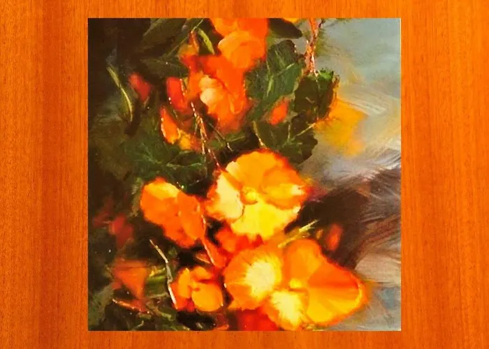 Гостевой дом De Patios 3*