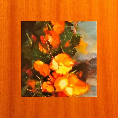 招待所 De Patios 3*