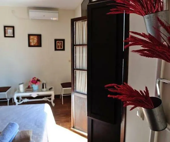 De Patios Gæstehus Córdoba